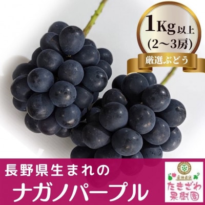 ふるさと納税　ナガノパープル1kg以上 (2房～3房)