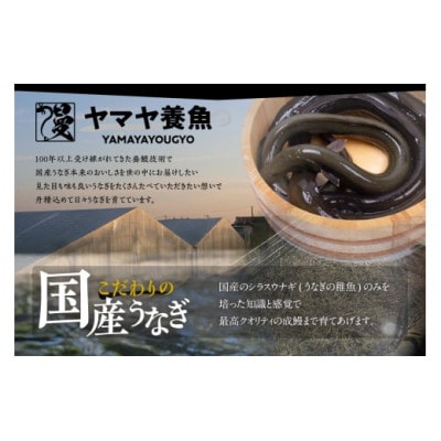 三河高浜産三代目養鰻家の白焼きメスうなぎ 5尾(875g以上)