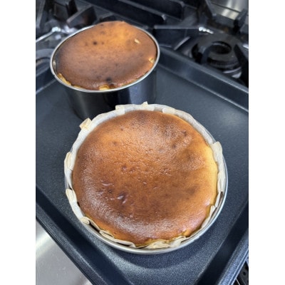 窯出しとろける濃厚チーズケーキ