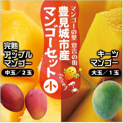 【2025年8月より順次発送】豊見城産マンゴーセット(小)
