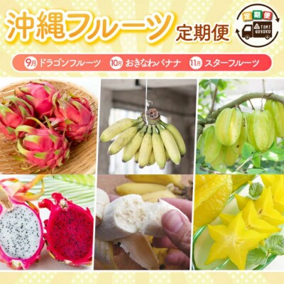 【発送月固定定期便】【2025年発送】沖縄フルーツ定期便(9・10・11月コース)全3回