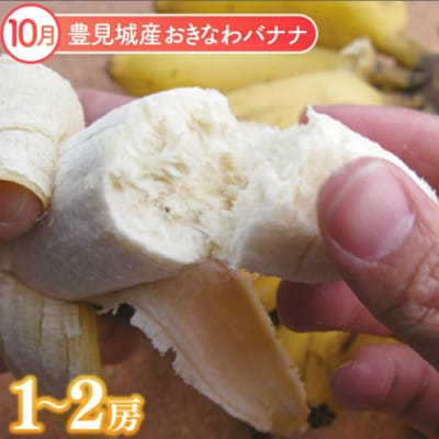 【発送月固定定期便】【2025年発送】沖縄フルーツ定期便(9・10・11月コース)全3回