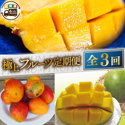 【発送月固定定期便】【2025年6・7・8月発送】豊見城 極上フルーツ定期便全3回