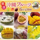 【発送月固定定期便】厳選!沖縄フルーツ定期便全6回