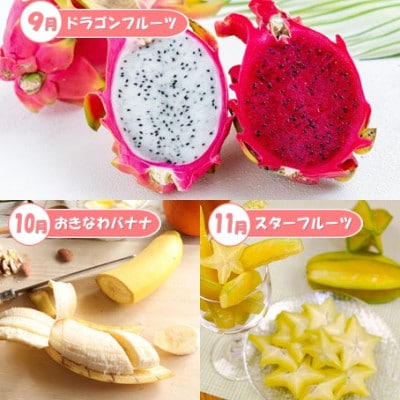【発送月固定定期便】【2025年6～11月発送】沖縄フルーツ定期便全6回
