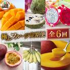 【発送月固定定期便】豊見城 極上フルーツ定期便全6回