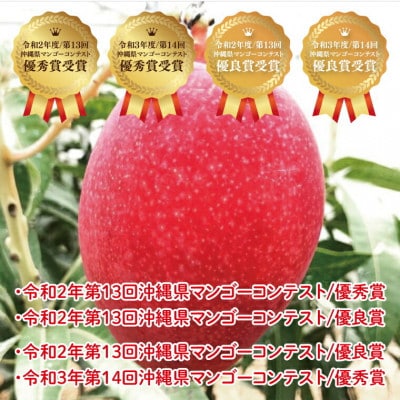 【2025年発送・黒秀】アーウィンマンゴー大玉2玉(約900g)