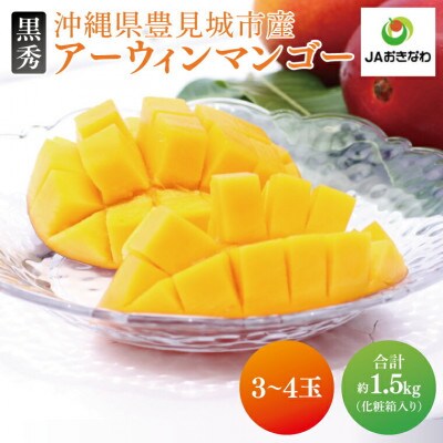 【2025年発送・黒秀】アーウィンマンゴー約1.5kg