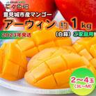 【2023年発送】アーウィンマンゴー約1kg(白箱)ご家庭用