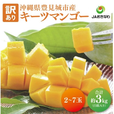【2025年発送・訳あり】キーツマンゴー約3kg