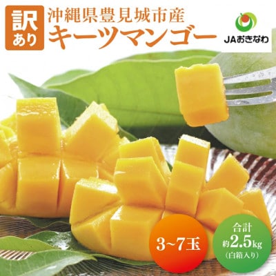 【2025年発送・訳あり】キーツマンゴー約2.5kg