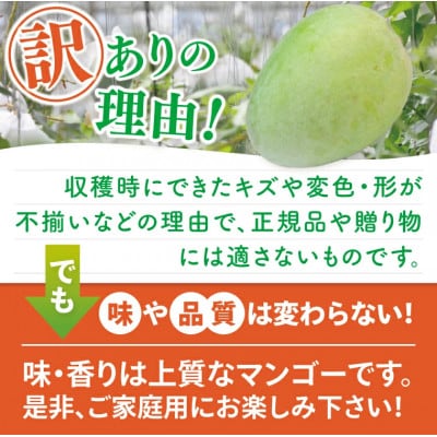 【2026年8月より順次発送】【訳あり】キーツマンゴー約2.5kg