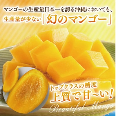 【2026年8月より順次発送】【化粧箱】キーツマンゴー約900g