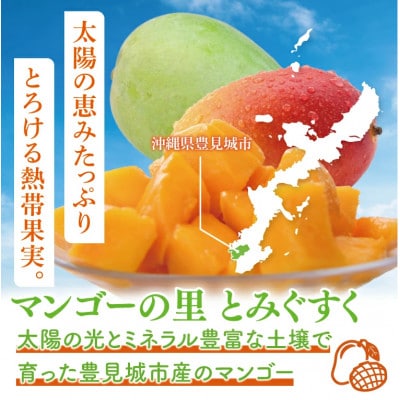 【2026年8月より順次発送】【化粧箱】キーツマンゴー約900g
