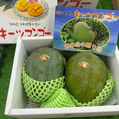 【2026年8月より順次発送】【化粧箱】キーツマンゴー約2kg