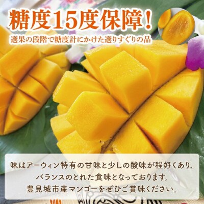 【2025年発送・糖度15度保証】JAおきなわのプレミアムマンゴー大玉2玉