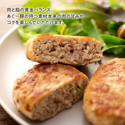 島ディナーセット