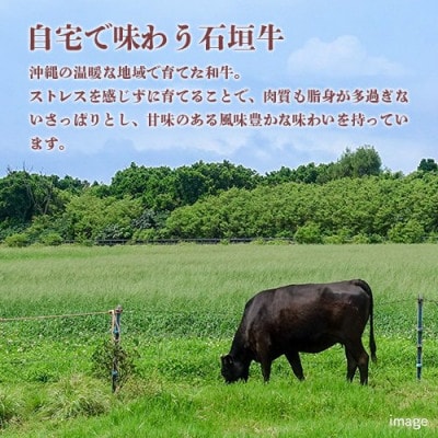 沖縄県産石垣牛ヒレステーキ360g(180g×2枚)