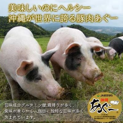 あぐー食べくらべしゃぶしゃぶセット(1.6kg)　部位4点