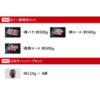 【毎月定期便】あぐー豚と石垣牛の定期便全6回