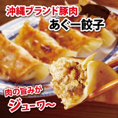 沖縄そばセット&あぐー100%餃子セット