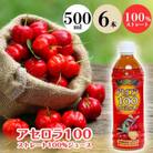 アセロラ100　ストレート100%ジュース500ml×6本