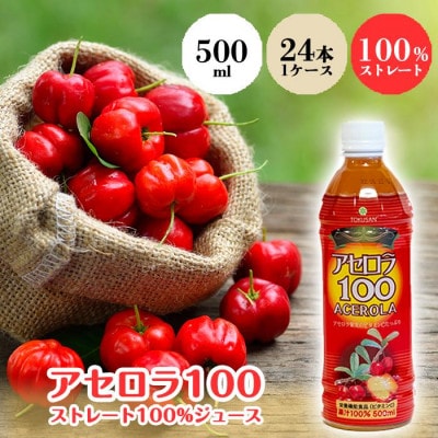 アセロラ100　ストレート100%ジュース500ml×24本