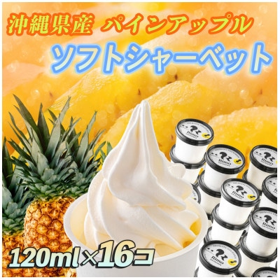 パインソフトシャーベット120ml×16個セット