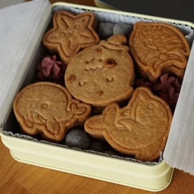 うみのいきものずかん(2缶)