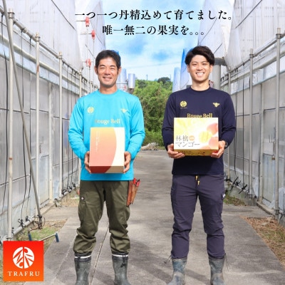 【2026年発送】沖縄県マンゴ―コンテスト最優秀沖縄県知事賞に3度輝いた!マンゴー 秀品(4～6玉)