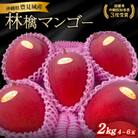 【2026年発送】沖縄県マンゴーコンテスト最優秀沖縄県知事賞3度に輝いた!優品(4～6玉)