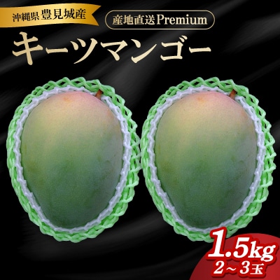 【2025年発送】『マンゴーの里』豊見城市産　直送Premiumキーツマンゴー(2～3玉)1.5kg