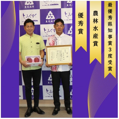 【2025年発送】沖縄県最優秀県知事賞に3度輝いた! ☆秀品☆沖縄マンゴー約1kg(2～3玉)