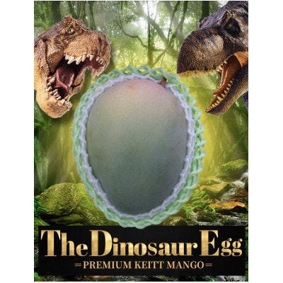 The Dinosaur Egg ~恐竜の卵~プレミアムキーツマンゴー(1玉入り)750g以上