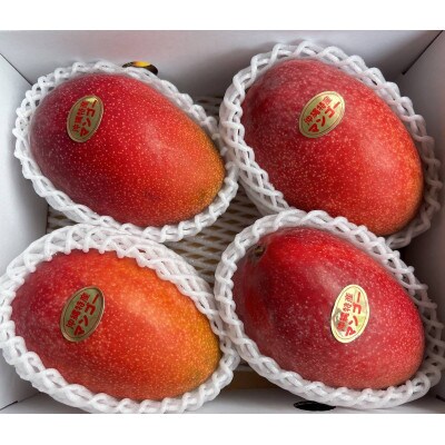 【2026年発送】沖縄県豊見城市産アップルマンゴー 約2kg