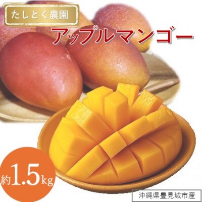 【2026年発送】沖縄県豊見城市産アップルマンゴー 約1.5kg