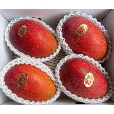 【2026年発送】沖縄県豊見城市産アップルマンゴー 約1.5kg