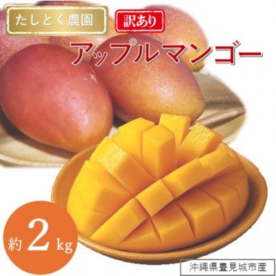 【2026年発送】★訳あり★沖縄県豊見城市産アップルマンゴー 約2kg