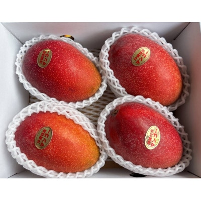 【2026年発送】★訳あり★沖縄県豊見城市産アップルマンゴー 約2kg