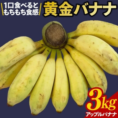 沖縄県豊見城市産　琉球黄金バナナ約3kg