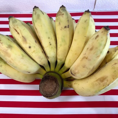 沖縄県豊見城市産　琉球黄金バナナ約3kg