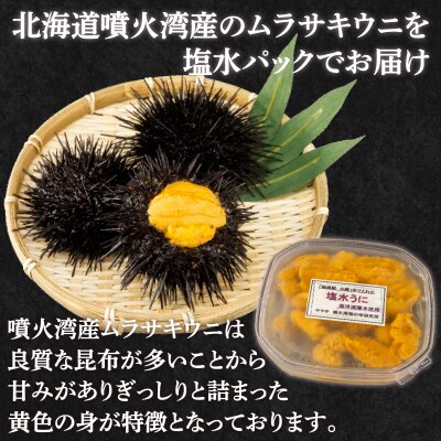 ※先行受付 うに 塩水ムラサキウニ 80g 北海道豊浦 噴火湾【配送不可地域:離島】 TYUR020