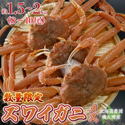 【数量限定】北海道 豊浦 噴火湾 ズワイガニ メス 約1.5～2kg(8～10尾) TYUR040