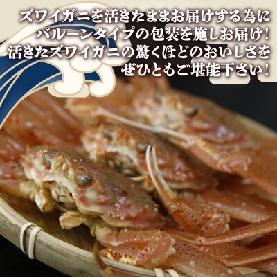 【数量限定】北海道 豊浦 噴火湾 ズワイガニ メス 約1.5～2kg(8～10尾) TYUR040