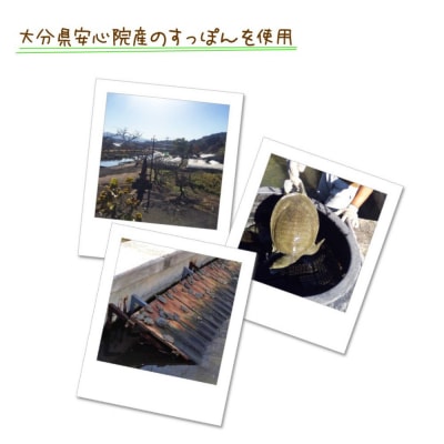 おおいた 美・すっぽんぜりー かぼす風味10本入×6【115300300】【アンフィニプロジェクト】