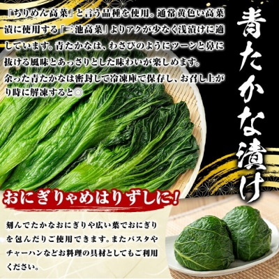 自家農園栽培 青たかな漬 2.5kg【103200100】【松本漬物】