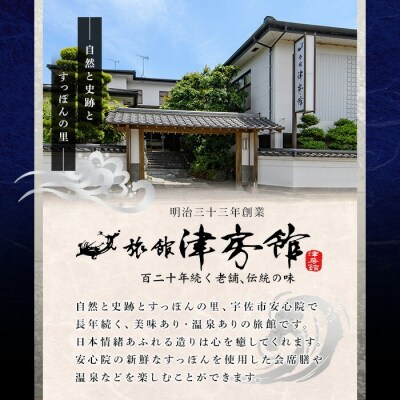 調理済すっぽん鍋セット 2～3人前 津房館【113400600】【津房館】