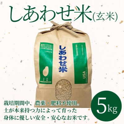 しあわせ米 玄米 5kg【101000401】【宇佐本百姓】