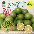 おもとの丘のかぼす 約4kg【111300201】【株式会社未来農林】