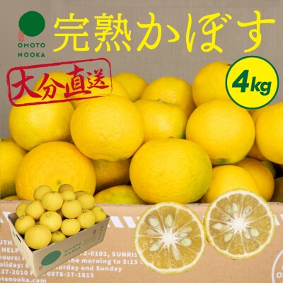 おもとの丘の完熟かぼす 4kg【111300401】【株式会社未来農林】
